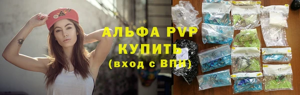 гидра Покачи