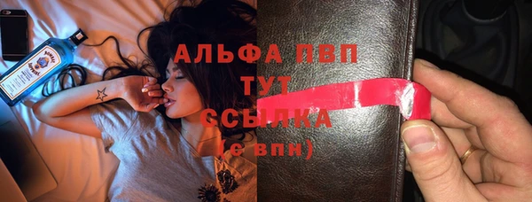 spice Белокуриха